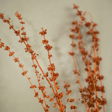 Load image into Gallery viewer, Tish Grass
