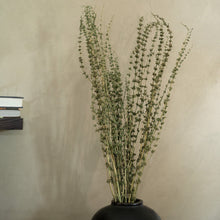 Load image into Gallery viewer, Tish Grass

