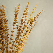 Load image into Gallery viewer, Tish Grass
