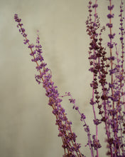 Load image into Gallery viewer, Tish Grass
