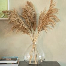 Load image into Gallery viewer, Pampas Grass
