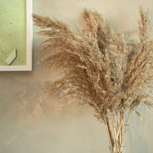 Load image into Gallery viewer, Pampas Grass
