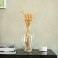 Load image into Gallery viewer, Wheat Grass

