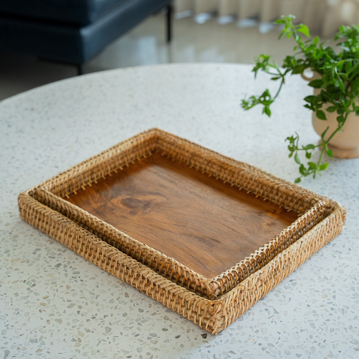 Large Rectangular Cane Trays