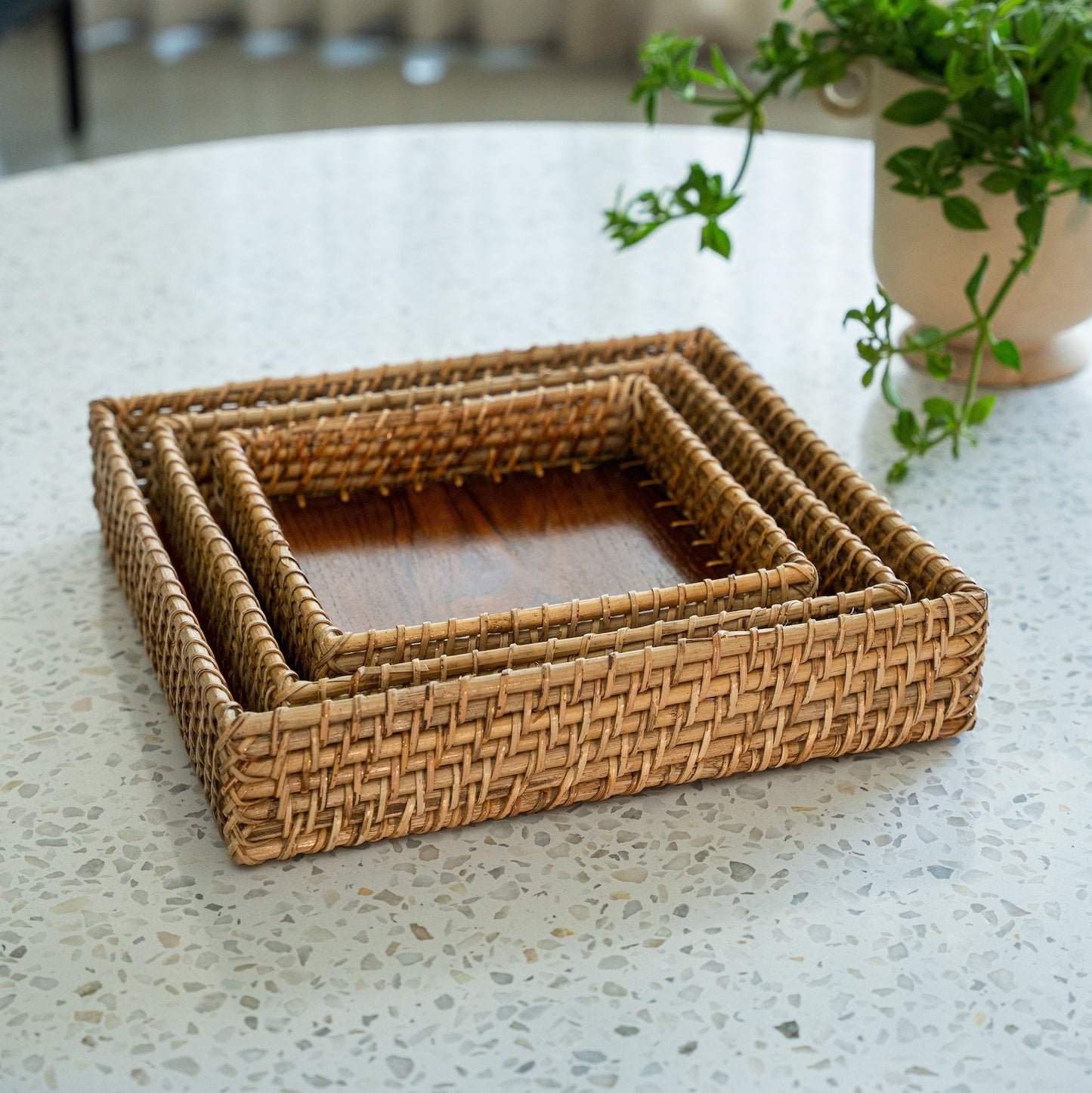 Square Cane Trays